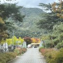솔담길 오토 캠핑장 | 대구 오토캠핑장, 군위 한밤 솔담길 오토캠핑장 C-3 사이트 후기