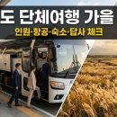 제주도 단체여행 가을 예약 마감 전 준비 체크리스트