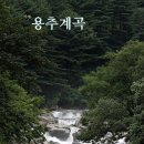 [가평 용추계곡 트레킹] 7월 6일 일요일 이미지