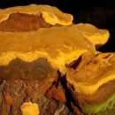 물레방아농장 이미지