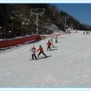 용인대 참 태권도장 이미지