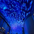 인스파이어 오로라 솔직후기, 낮엔 돌고래 LED 밤엔 나이트마켓 코스