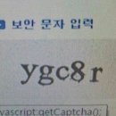 와이지 - 가평군 깃대봉길 18 | 와이지