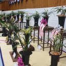 임실군민회관 이미지