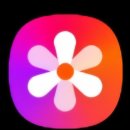 손 안의 스튜디오: 스마트폰 영상 제작 | 갤러리 ‘손안의 사진 스튜디오’