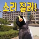 퓸즈 이미지