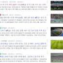 선경부동산중개 | [임장기] 성산시영아파트 :: 6호선 월드컵경기장역 역세권 재건축 투자처