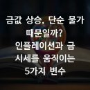 금값 상승, 단순 물가 때문일까? 인플레이션과 금 시세를 움직이는 5가지 변수