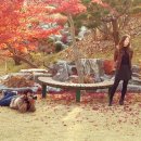 일상을 노래하다 이미지