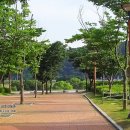 율하체육공원 생태연못 이미지