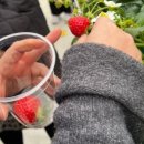 서강석농장 이미지