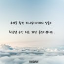 우리를 향한 하나님아버지의 믿음이 확증된 순간 뒤로 꽈당 졸도하셨지요 . 이미지