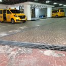 스윔 스타즈 이미지