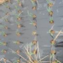 민기농장 이미지