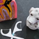 전주예치과의원 이미지