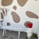 삼양라운드힐 주식회사 이미지