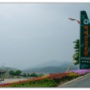 청양백세