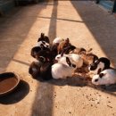 미사리 승마공원 이미지