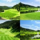 강남cc 네이버블로그