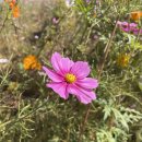 숲뜰근린공원 이미지