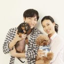 호박동물병원