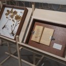 주식회사 금룡 이미지