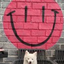 연두살롱 이미지