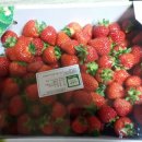 단산농장 이미지