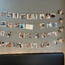 멍뭉호텔 이미지