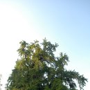 도당3리 이미지