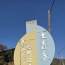 라온 25년11월4일 화요라이딩 황학산 임도 대구 예술대학교 이미지