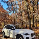 2023년식 BMW X5 45e 차량 판매 이미지