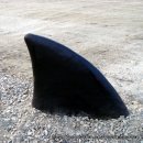 축제광장 이미지