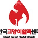 한국고양이혈액센터 | 양천구 신월동 동물병원 한국고양이혈액센터 위치 오는길 후기