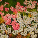 제22회 대한민국한지대전 이미지