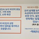 덕봉이네 닭