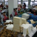 금산인삼농업협동조합 이미지