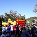 능소화꿈나무 이미지