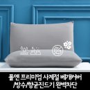 2813 이미지