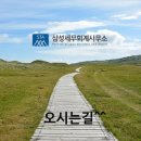 삼성세무회계 이미지