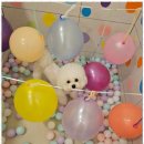 리본반려견 유치원 이미지