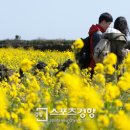 무릉외갓집영농조합법인 이미지