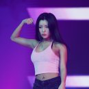 헤이버터 이미지