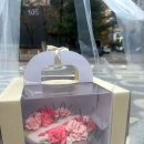 들레스테이지