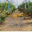 승연농장 이미지