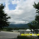 꽃길만두 이미지