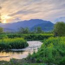 섬진강 침실습지 이미지