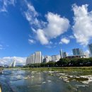 칠성자전거 | 대구 신천 러닝코스 후기 – 칠성시장부터 상동교까지 10km 달리기