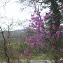 용 사슴목장 이미지