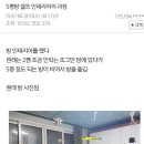 디씨인의 5평 원룸 셀프 인테리어 이미지